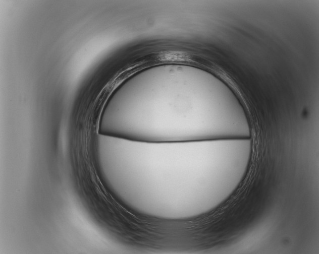 X0000115671151200911121001