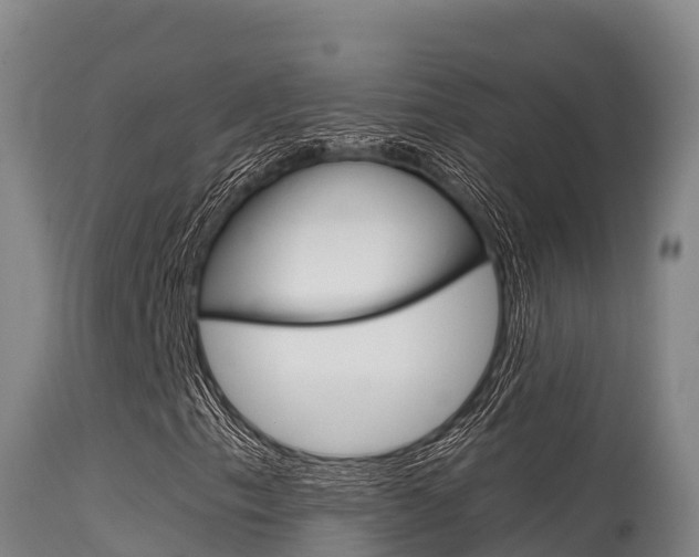 X0000115671153200911121000