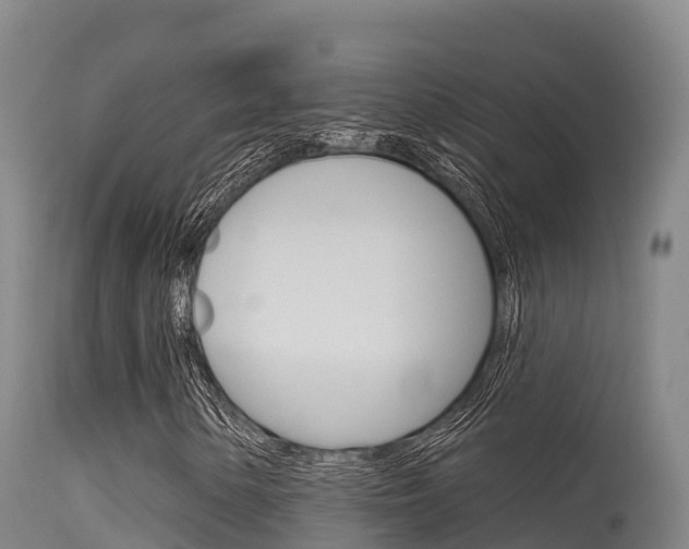 X0000115671154200911121000