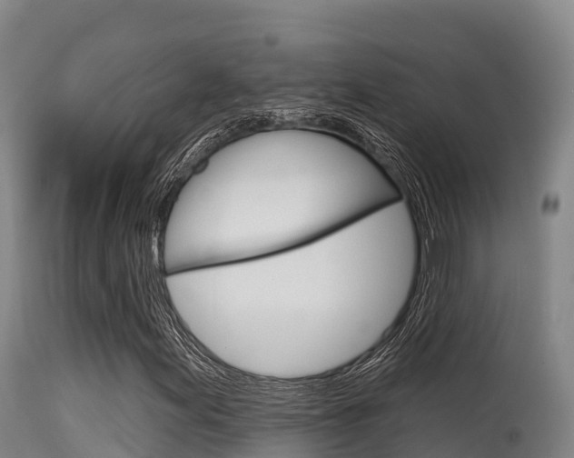 X0000115671155200911121000