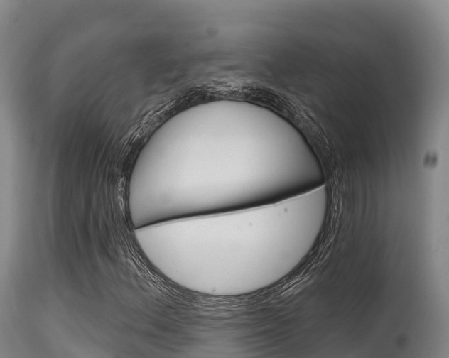 X0000115671156200911121000