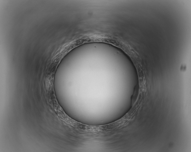 X0000115671157200911121000