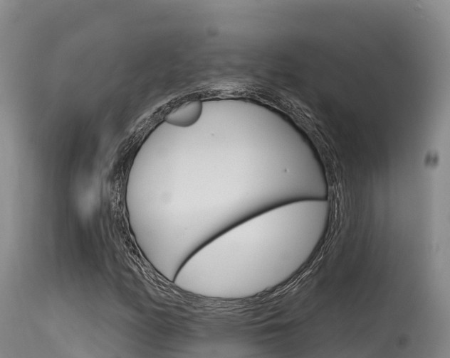 X0000115671158200911121000