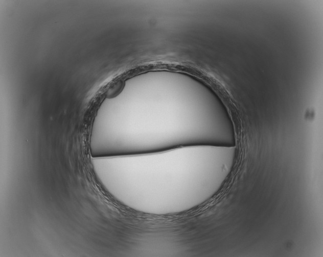 X0000115671159200911121000