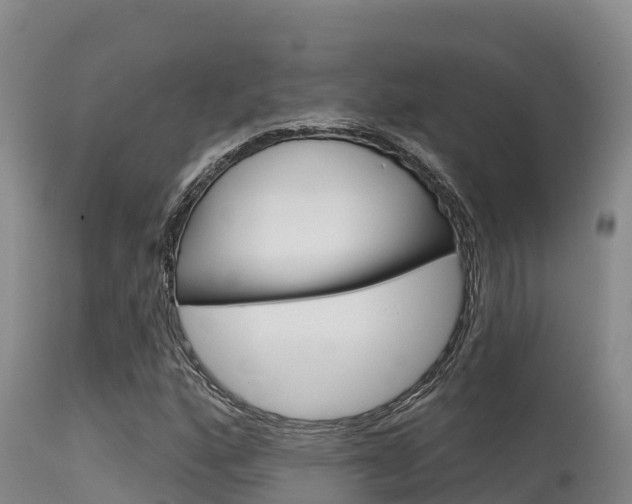 X0000115671160200911121000