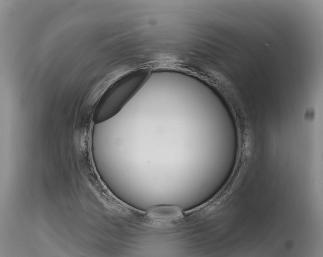 X0000115671161200911121000