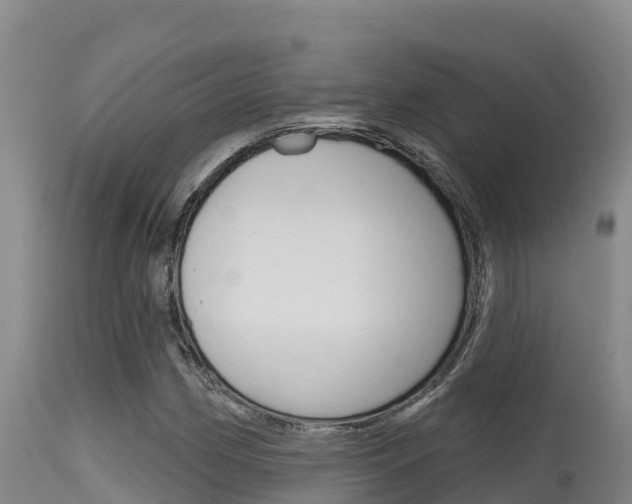 X0000115671162200911121000