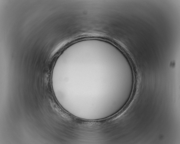 X0000115671163200911121000