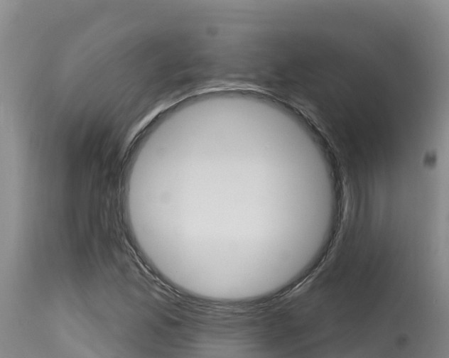X0000115671165200911121000