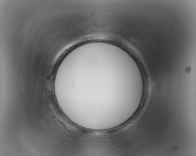 X0000115671166200911121000