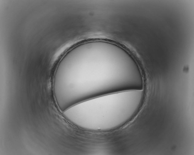 X0000115671167200911121000