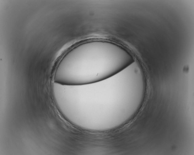 X0000115671168200911121000