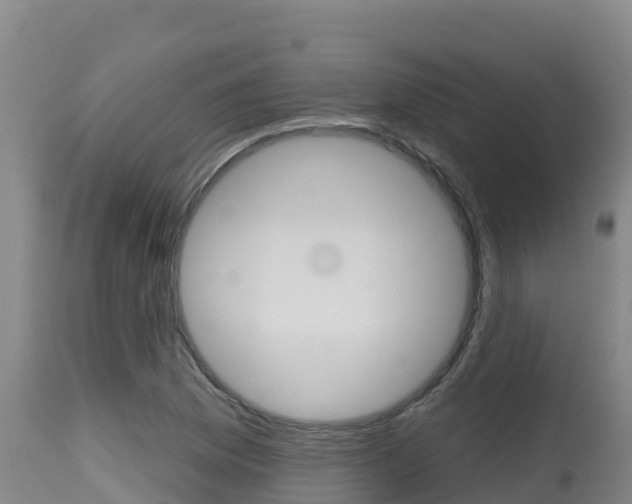 X0000115671169200911121000