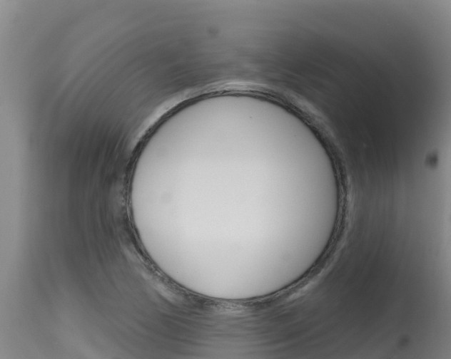X0000115671170200911121000