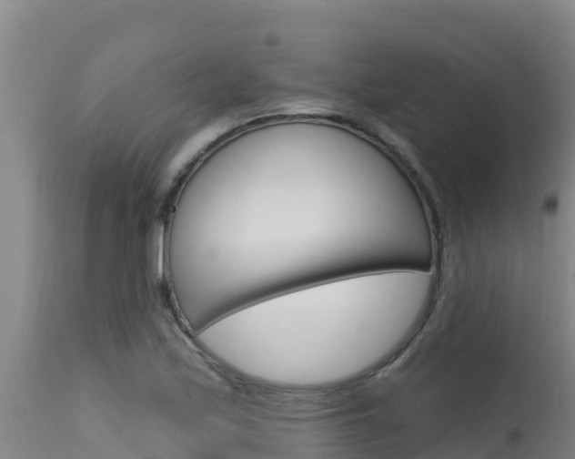 X0000115671171200911121000