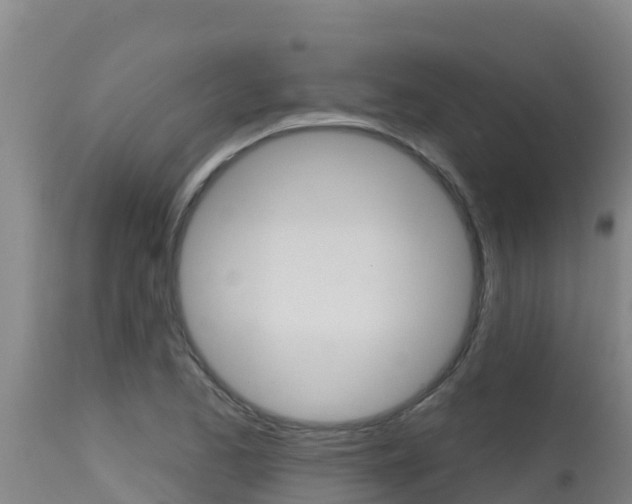 X0000115671173200911121000