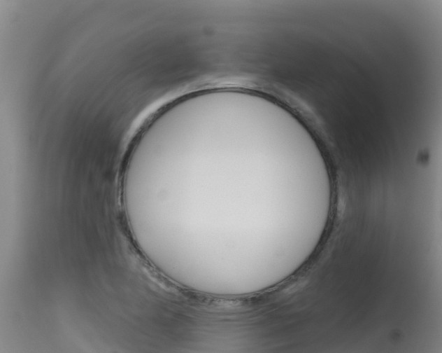 X0000115671174200911121000