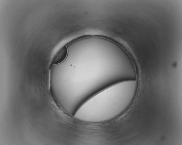 X0000115671175200911121000