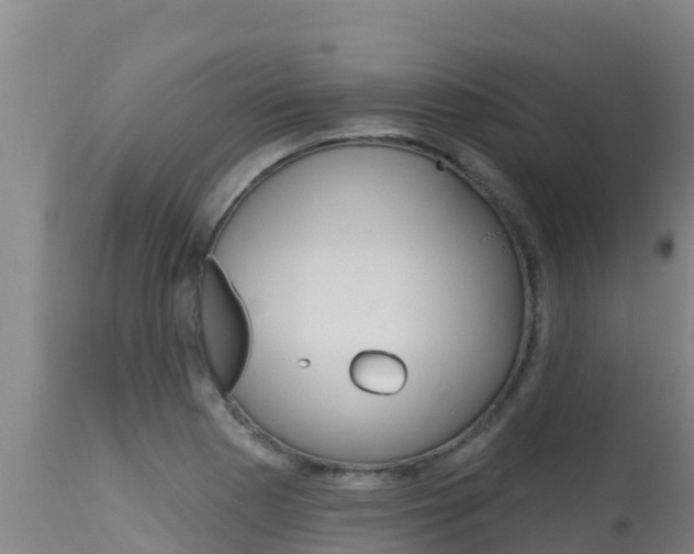 X0000115671177200911121000