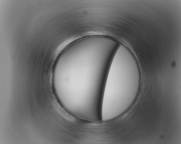 X0000115671179200911120959