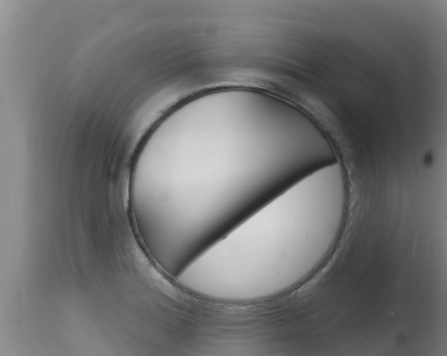 X0000115671180200911120959