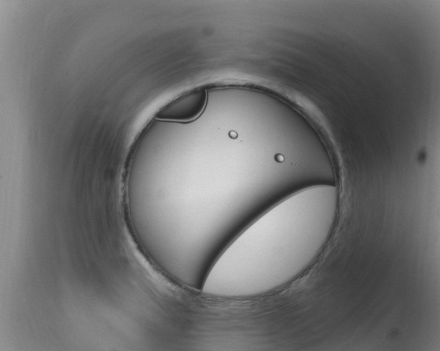 X0000115671183200911120959