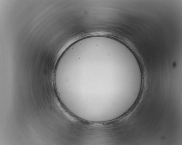 X0000115671186200911120959