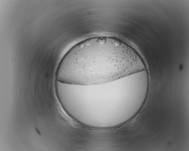 X0000115671187200911120959