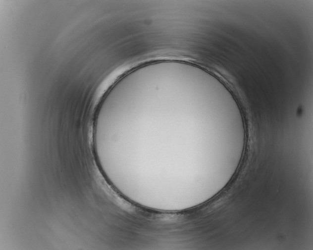 X0000115671188200911120959