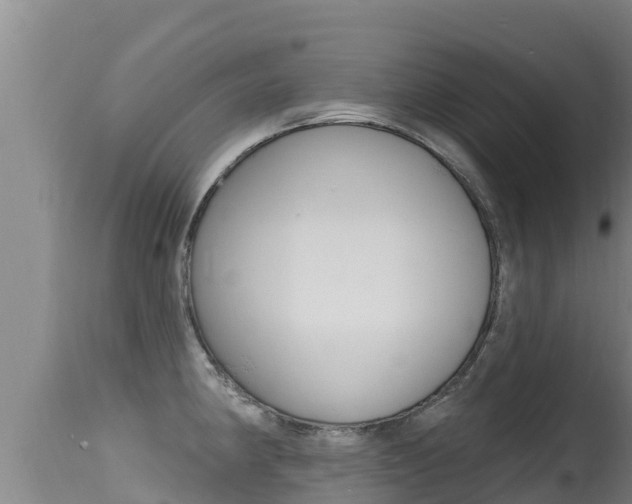 X0000115671190200911120959