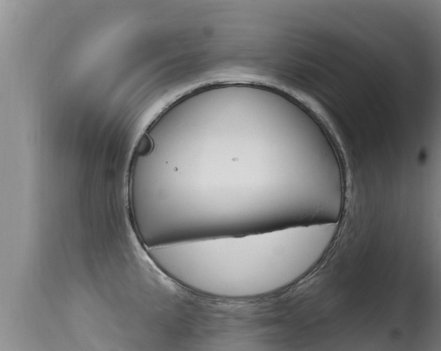 X0000115671191200911120959