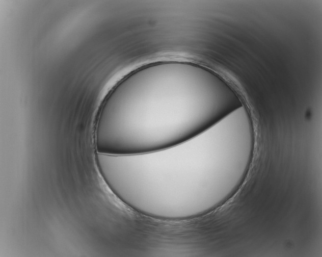 X0000115671192200911120959