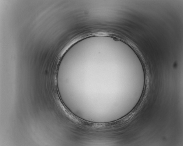X0000115671194200911120959