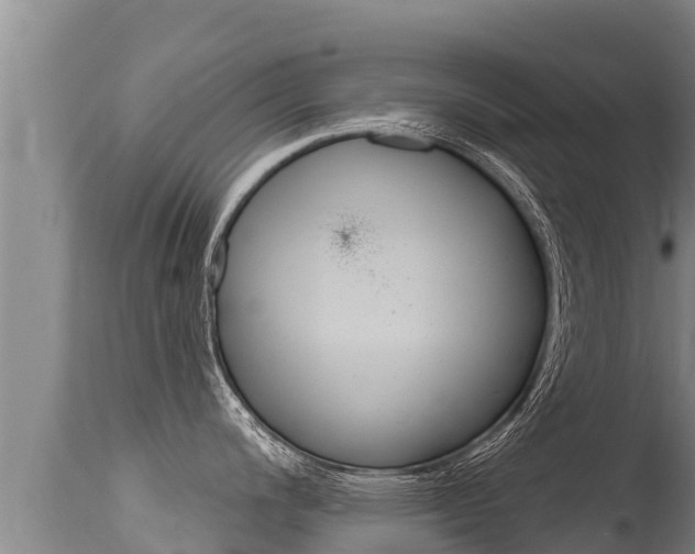 X0000115671200200911120959