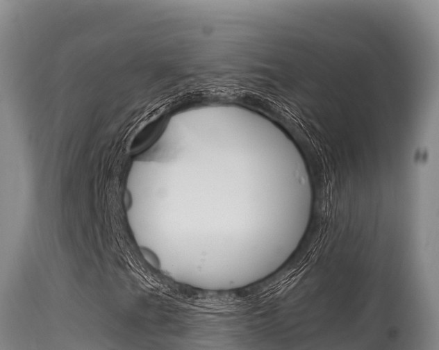 X0000115671201200911120958