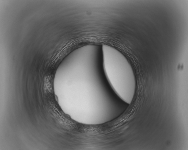 X0000115671202200911120958