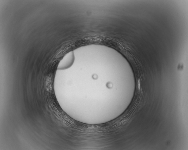 X0000115671203200911120958