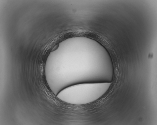 X0000115671204200911120958