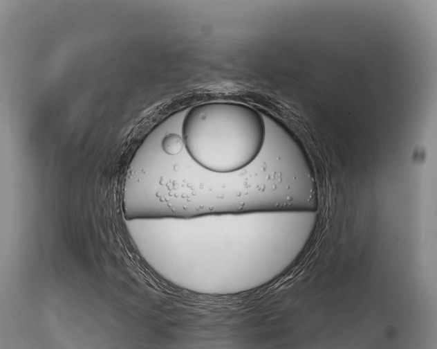 X0000115671205200911120958