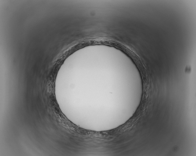 X0000115671207200911120958