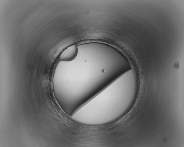 X0000115671210200911120958