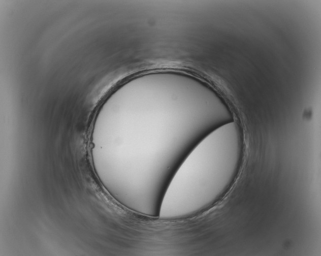 X0000115671212200911120958