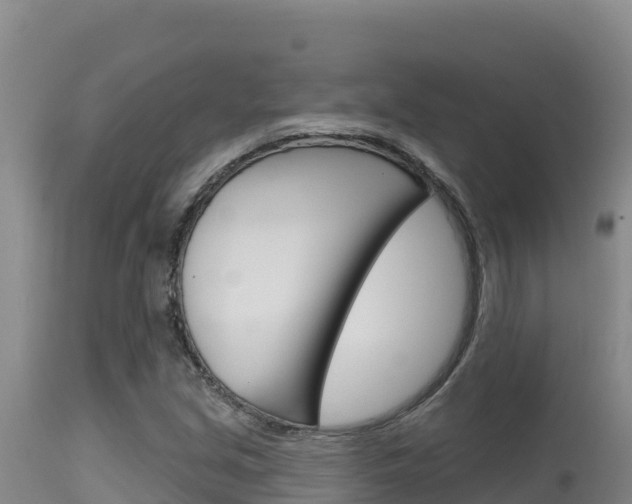 X0000115671213200911120958