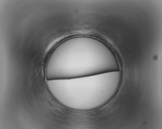 X0000115671214200911120959