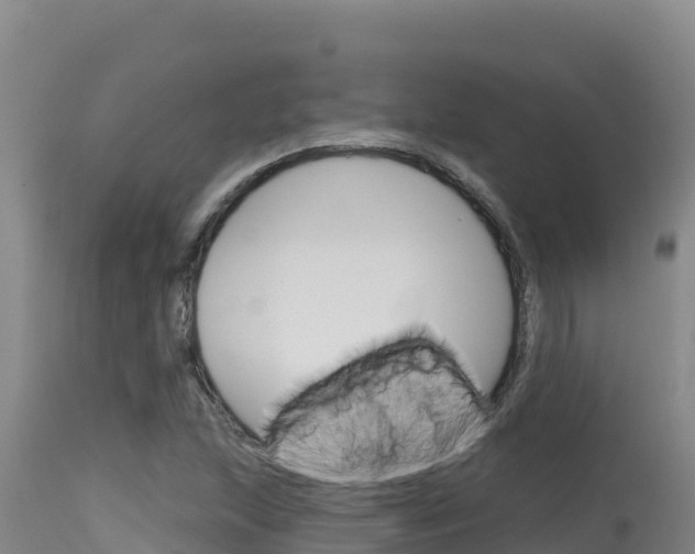 X0000115671215200911120959
