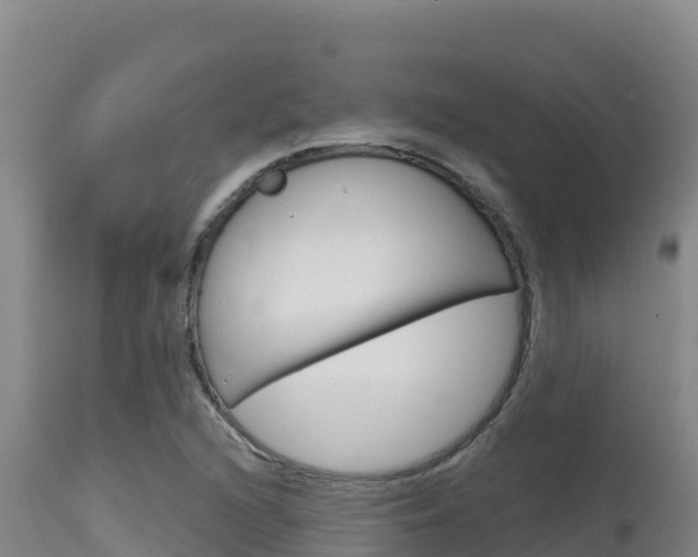 X0000115671216200911120959
