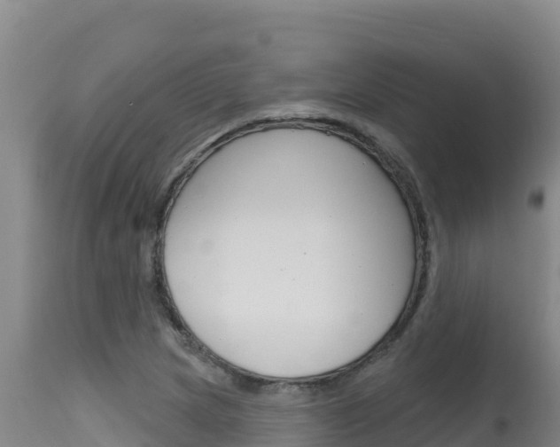 X0000115671217200911120959