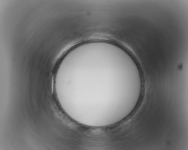 X0000115671219200911120959