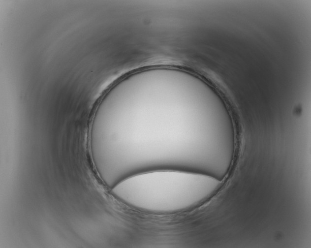X0000115671220200911120959