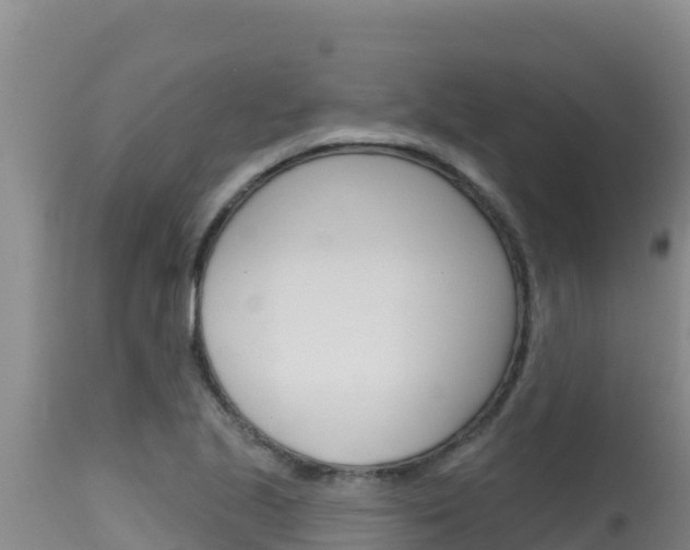 X0000115671221200911120959